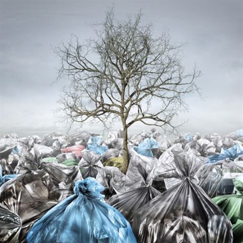 Nie ma podręcznika ratowania planety. Łatwa pułapka podręczników ekologicznego życia