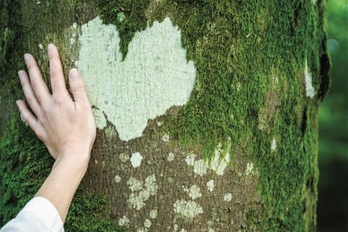 Zielony Program Yves Rocher: wspieranie sadzenia drzew nigdy nie było łatwiejsze
